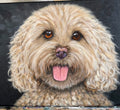Custom Pet Portrait